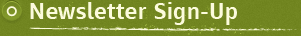 Newsletter Sign-Up