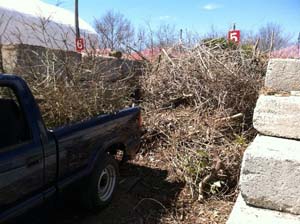 Brush Pile Brush Pile